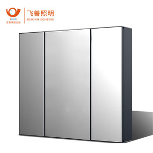 Aluminum Bathroom Modern Salon Mirror Vanity Wall Bathroom LED Shaving Cabinet