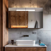 Fiesono Stylish Functionality: All-Aluminum Lighted Anti-Fog Bathroom Cabinets